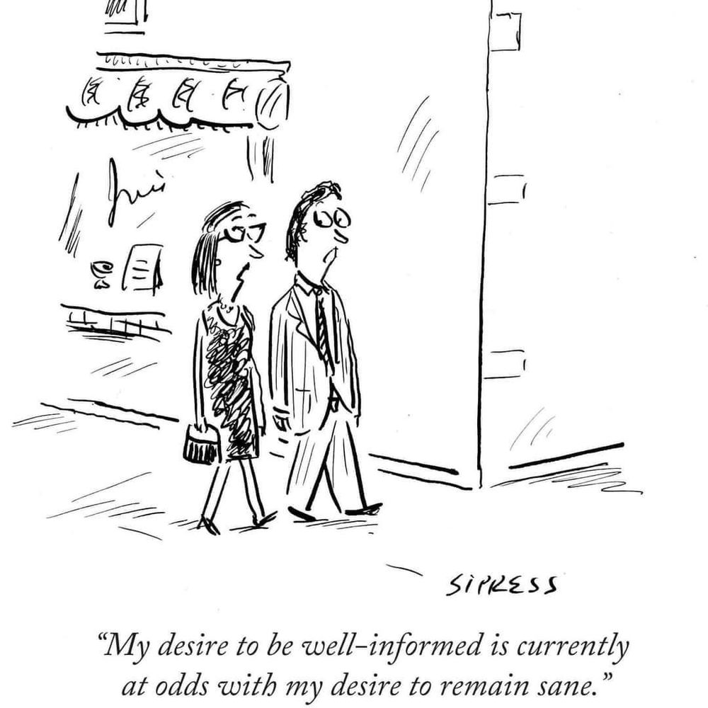 Cartoon of a man and woman walking past a shop, with the caption 'My desire to stay informed is currently at odds with my desire to remain sane'